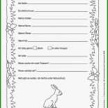 Buch Steckbrief Muster