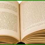 Buchvorstellung Buch Steckbrief Vorlage