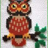 Bügelperlen Eule Vorlage