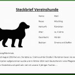 Bügelperlen Vorlage Hund 10 Bügelperlen Vorlage Hund