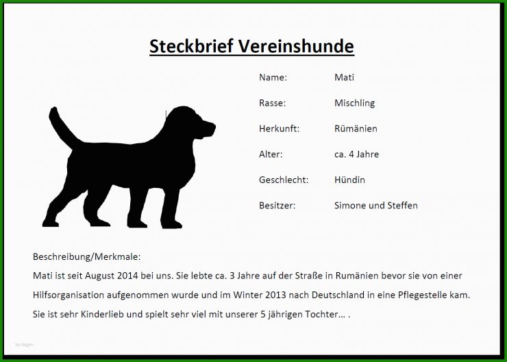 Bügelperlen Vorlage Hund