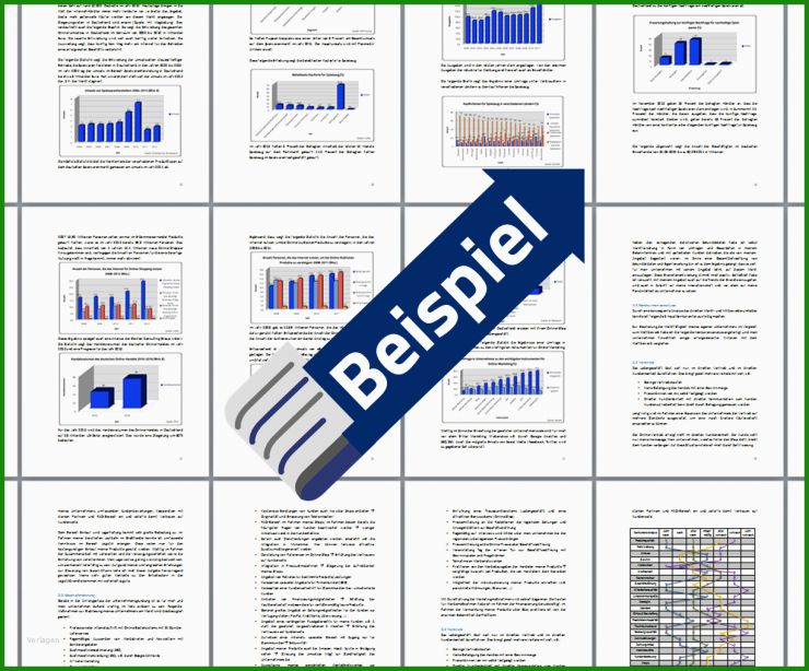 Businessplan Filmproduktion Muster
