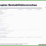 Businessplan Haushaltshilfe Muster