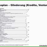 Businessplan Muster#