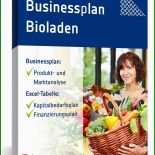 Businessplan Muster Bundesministerium