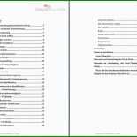 Businessplan Muster Chancen Und Risiken 11 Businessplan Muster Chancen Und Risiken