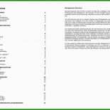 Businessplan Muster Geschäftsidee