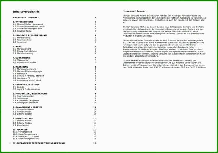 Businessplan Muster Geschäftsidee
