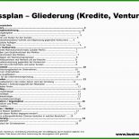 Businessplan Pdf Muster