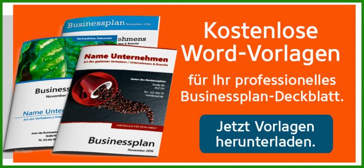 Businessplan Vorlage Grafik Designer
