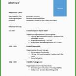 Businessplan Vorlage Kostenlos Schweiz