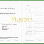 Businessplan Vorlage Metzgerei