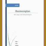 Businessplan Vorlage Muster