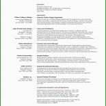 Businessplan Vorlage Susi sorglos