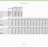 Businessplan Vorlage Wko
