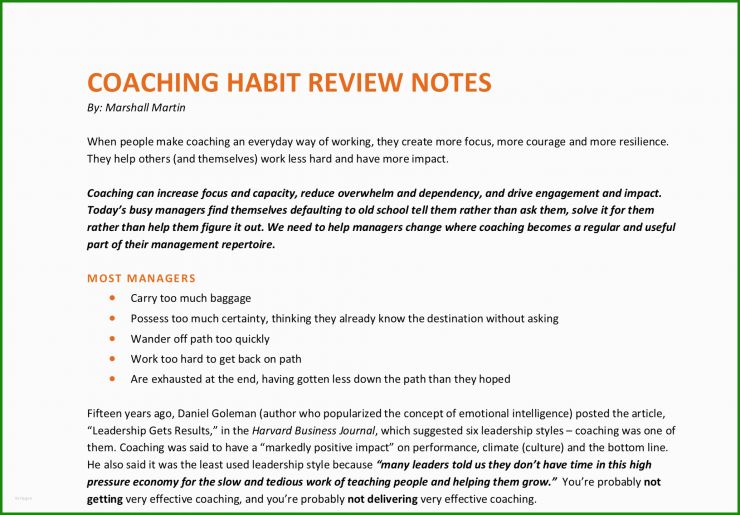 Coaching Protokoll Vorlage