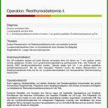 Compassion Bericht Muster