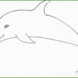 Delfin Vorlage Basteln 5 Delfin Vorlage Basteln