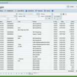 Einnahmen Ausgaben Rechnung Gemeinnütziger Verein Muster