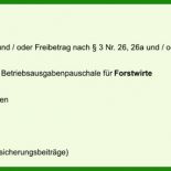 Einnahmen überschuss Rechnung Vorlage Elster 9 Einnahmen überschuss Rechnung Vorlage Elster
