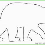 Eisbär Vorlagen Basteln