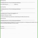 Elternbürgschaft Mietvertrag Vorlage