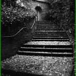 Ende Kondolenzschreiben