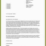 Englischer Steckbrief Muster 6 Englischer Steckbrief Muster
