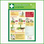 Erste Hilfe Protokoll Vorlage