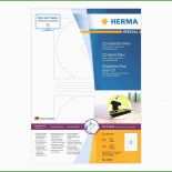 Etiketten Vorlage Cd