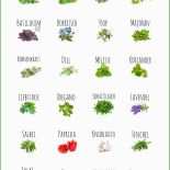 Etiketten Vorlagen 12