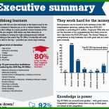 Executive Summary Businessplan Muster