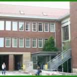 Exmatrikulation Brief Muster