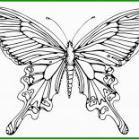 Frühlingsbilder Basteln Vorlagen