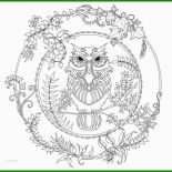 Füchse Basteln Vorlage 2 Füchse Basteln Vorlage