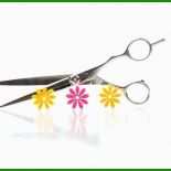 Gutscheinvorlagen Friseur Gutschein Vorlage Haare Schneiden