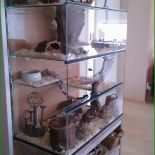 Hamster Basteln Vorlagen