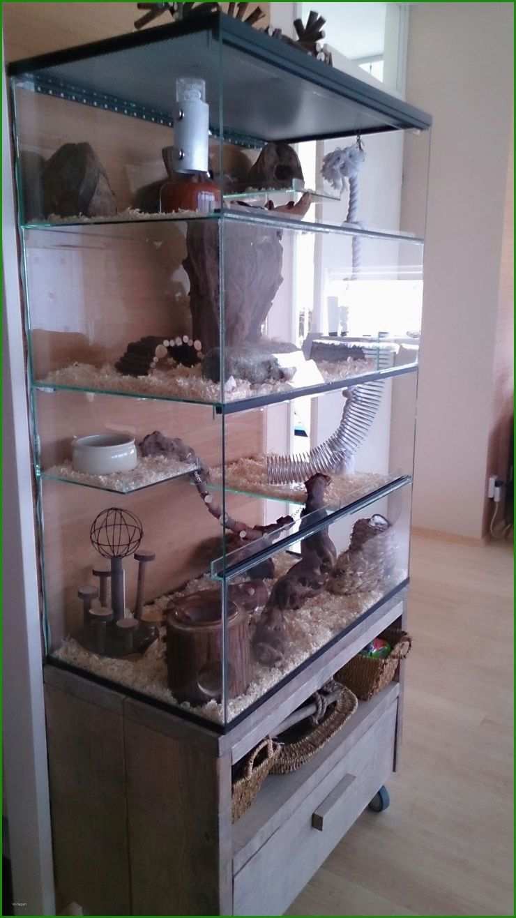 Hamster Basteln Vorlagen