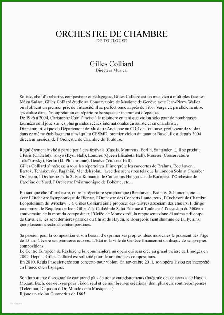 Handout Biographie Muster