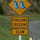 Handout Muster Openoffice