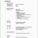 Handout Muster Präsentation