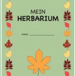 Herbarium Etiketten Vorlagen Zum Ausdrucken