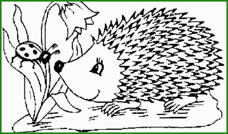 Herbst Bilder Basteln Vorlagen 6 Herbst Bilder Basteln Vorlagen