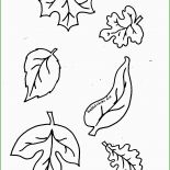 Herbstblatt Vorlage Basteln