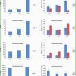 Herma Etiketten Vorlage Word 2007