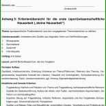 Hilfeplan Bericht Muster