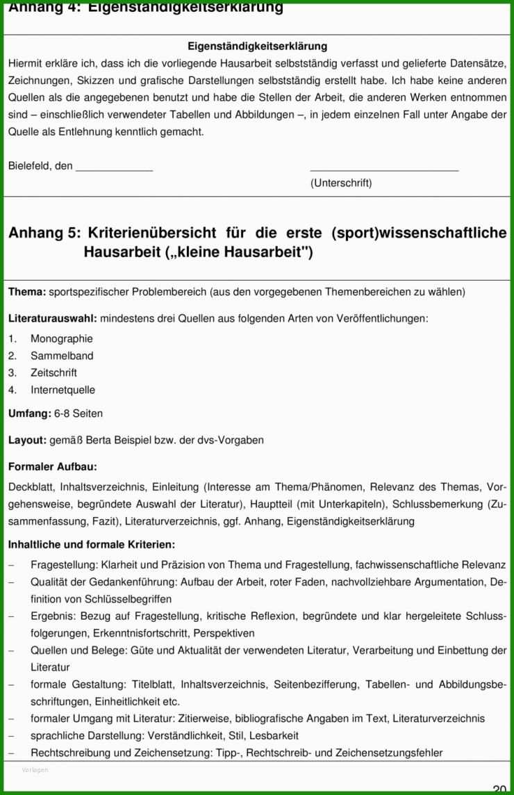 Hilfeplan Bericht Muster