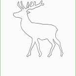 Hirsch Basteln Vorlage