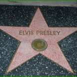 Hollywood Stern Vorlage
