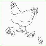 Hühner Basteln Vorlagen